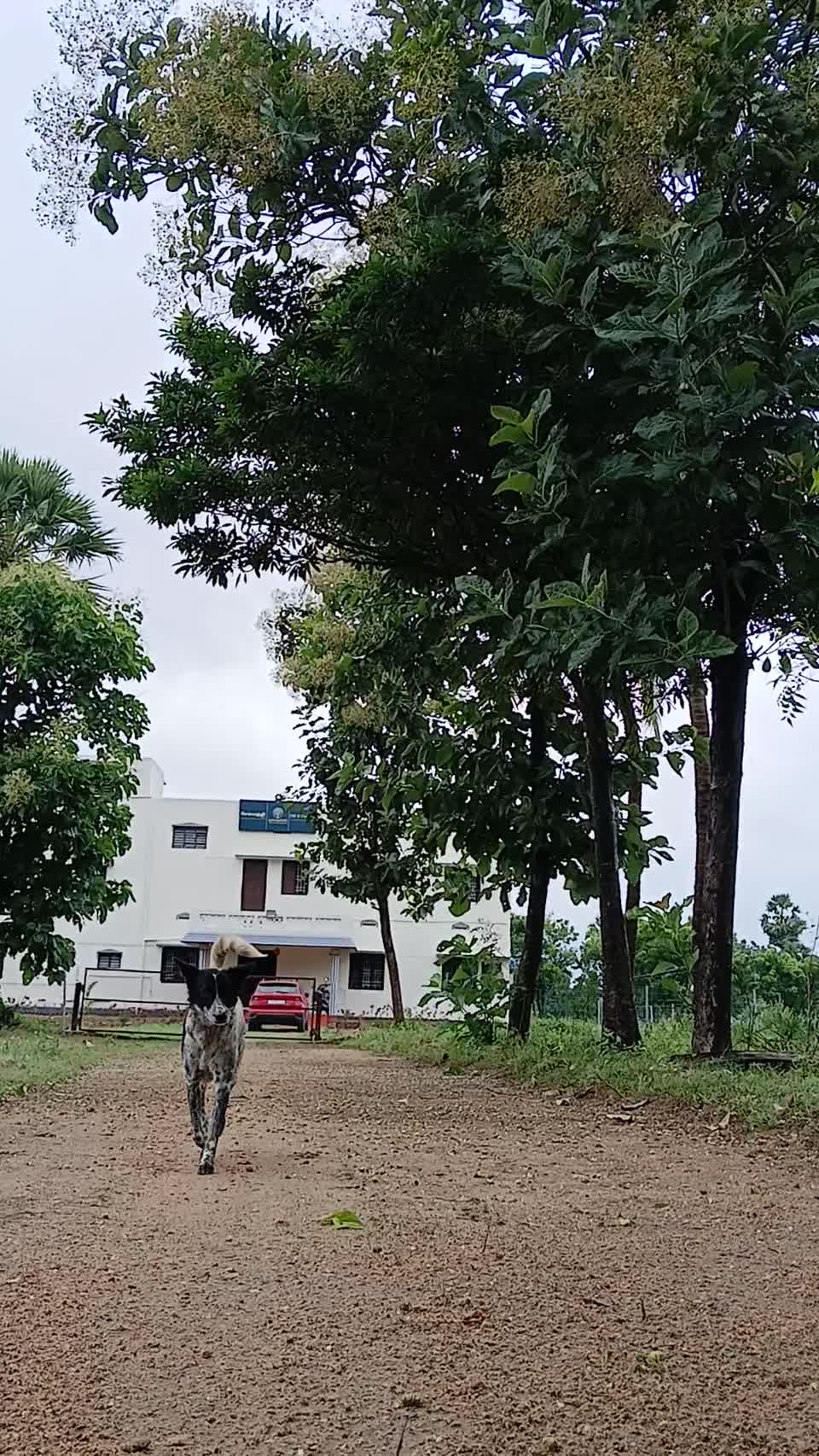 Kanakode's Campus video