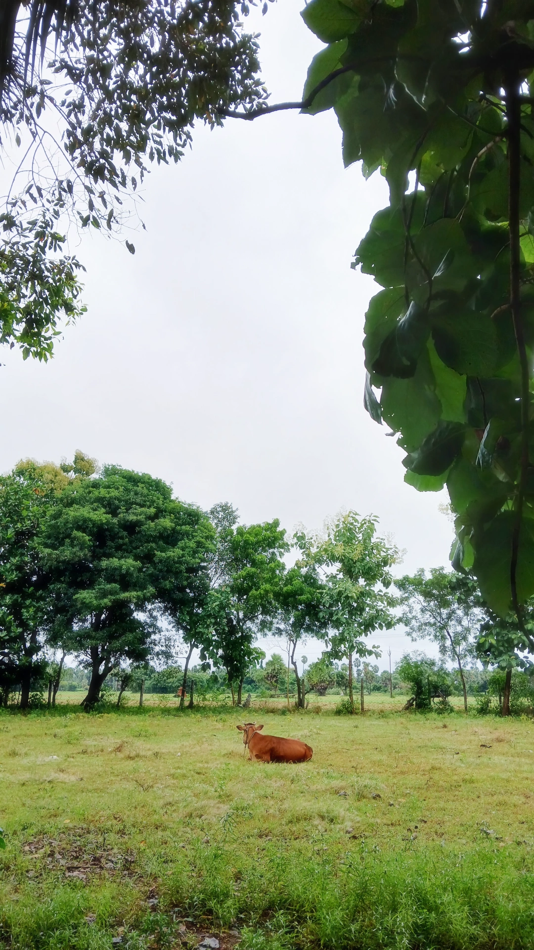 Kanakode's Campus