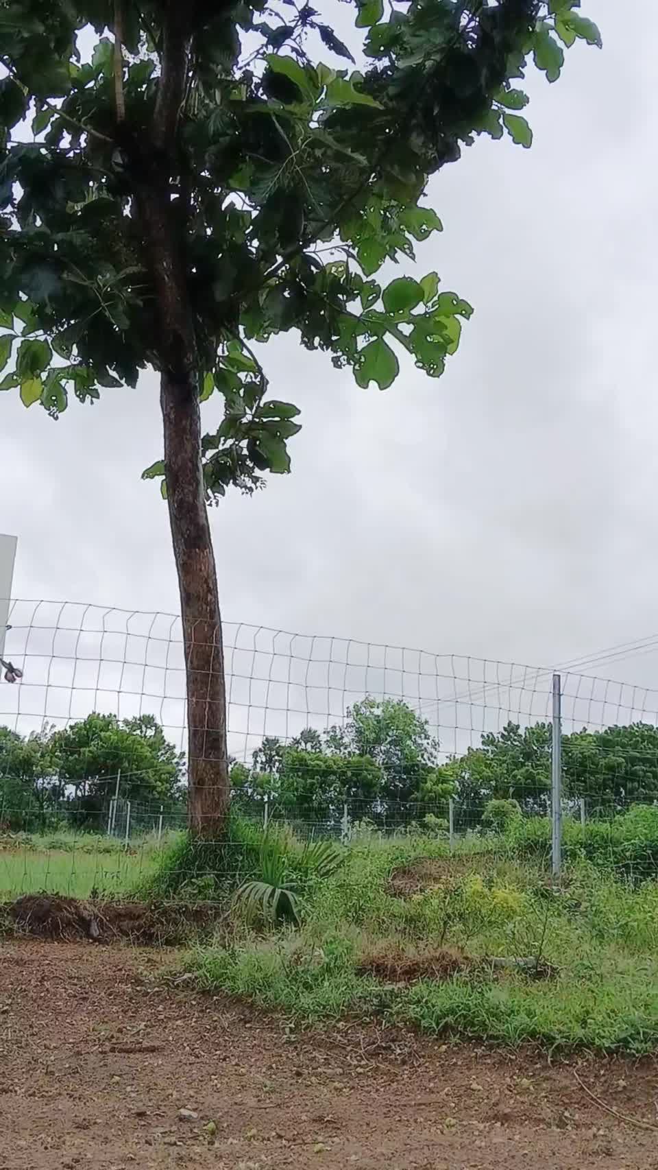 Kanakode's Campus video