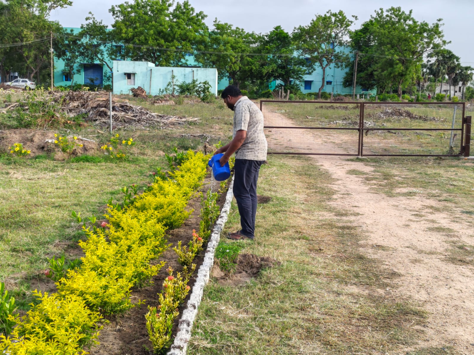 Therapeutic Garden