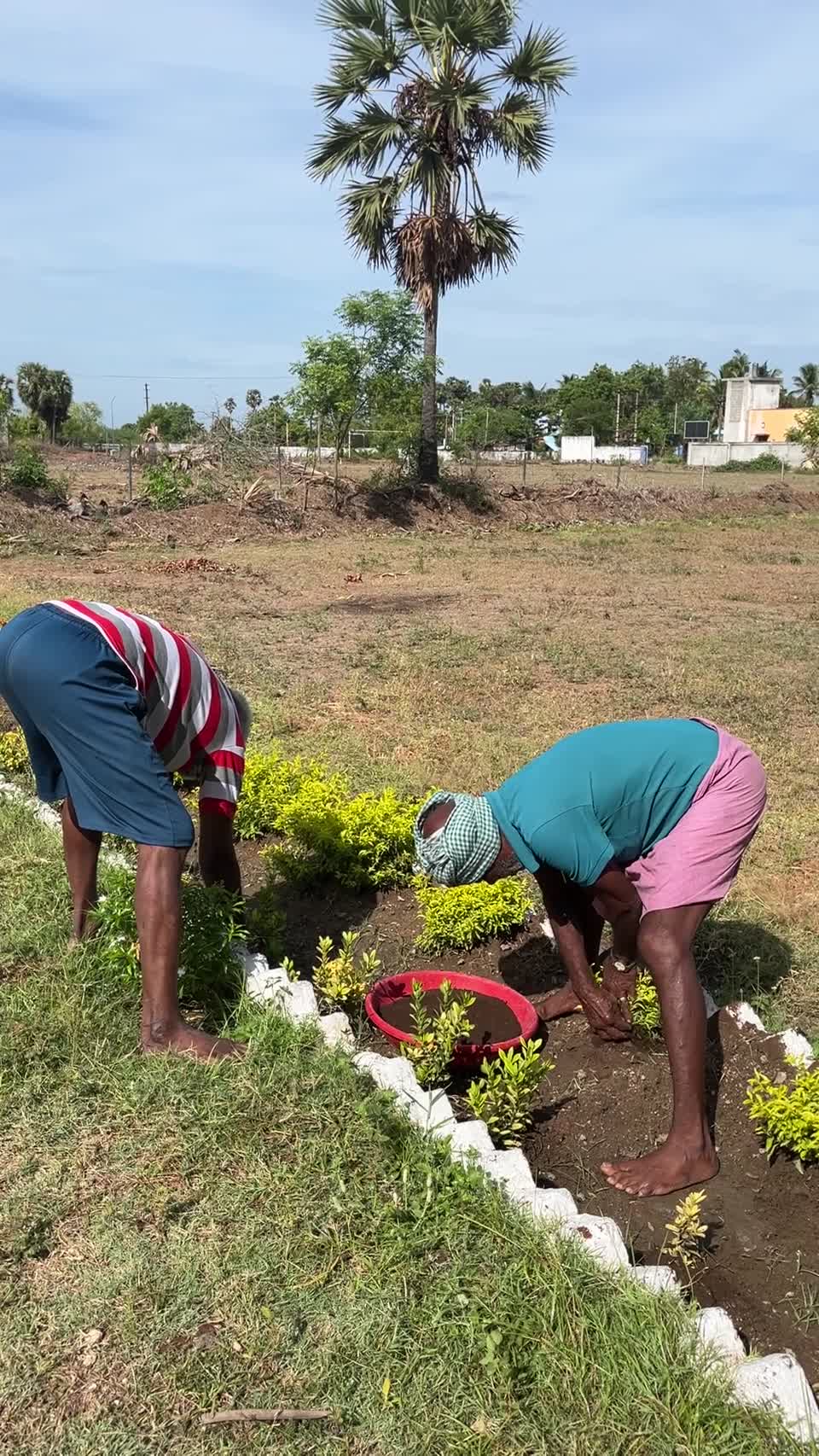 Therapeutic Garden video